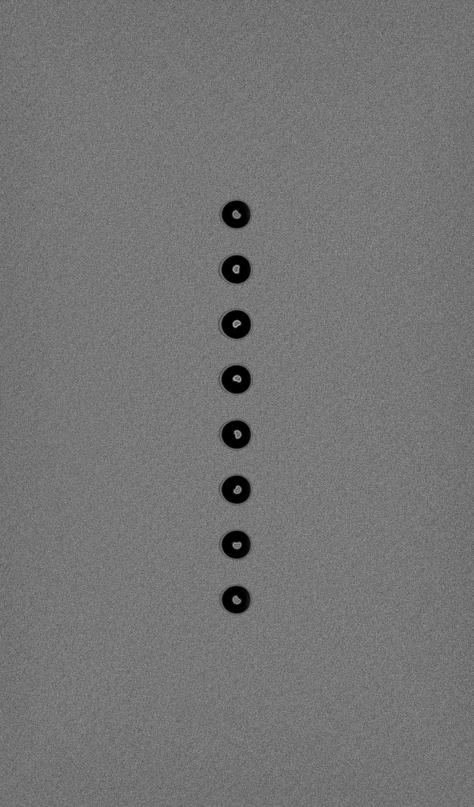 SYMBIO 01